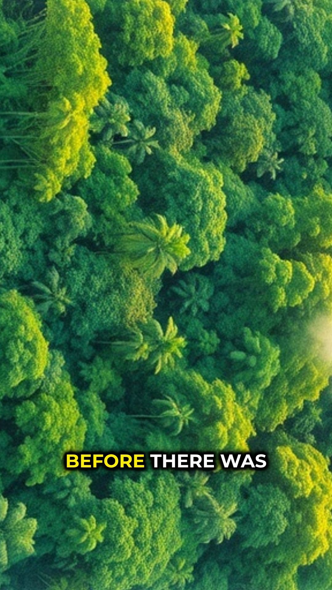 Islands of the Essequibo River