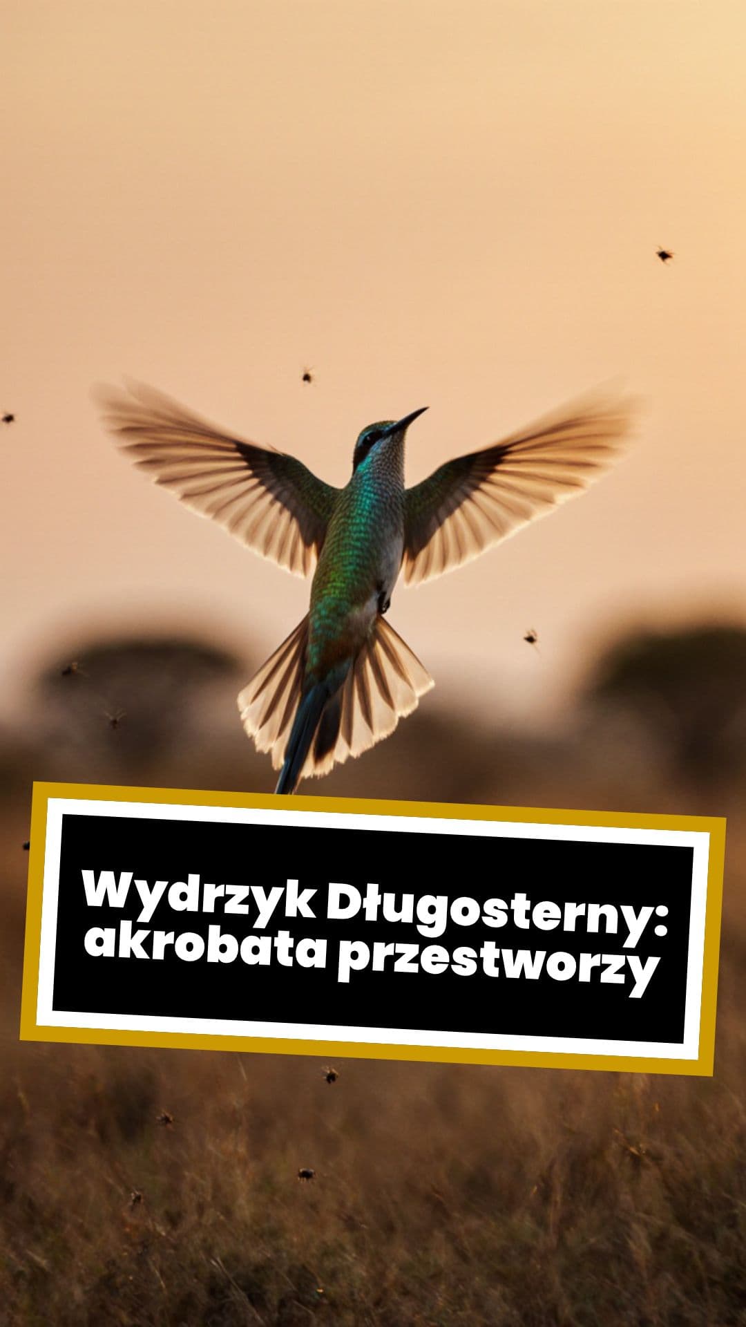 Wydrzyk Długosterny: akrobata przestworzy