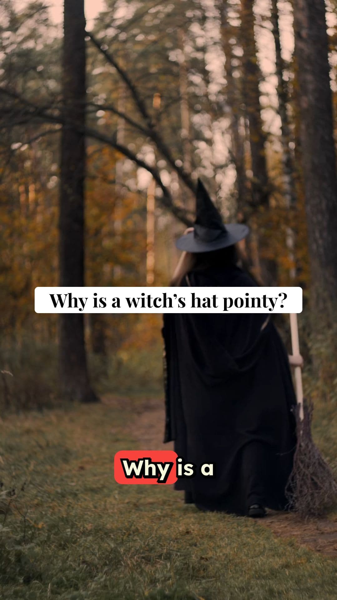 The Origin of the Witch Hat