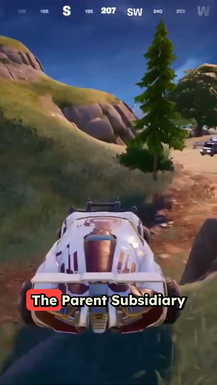 Understanding the Parent Subsidiary Directive