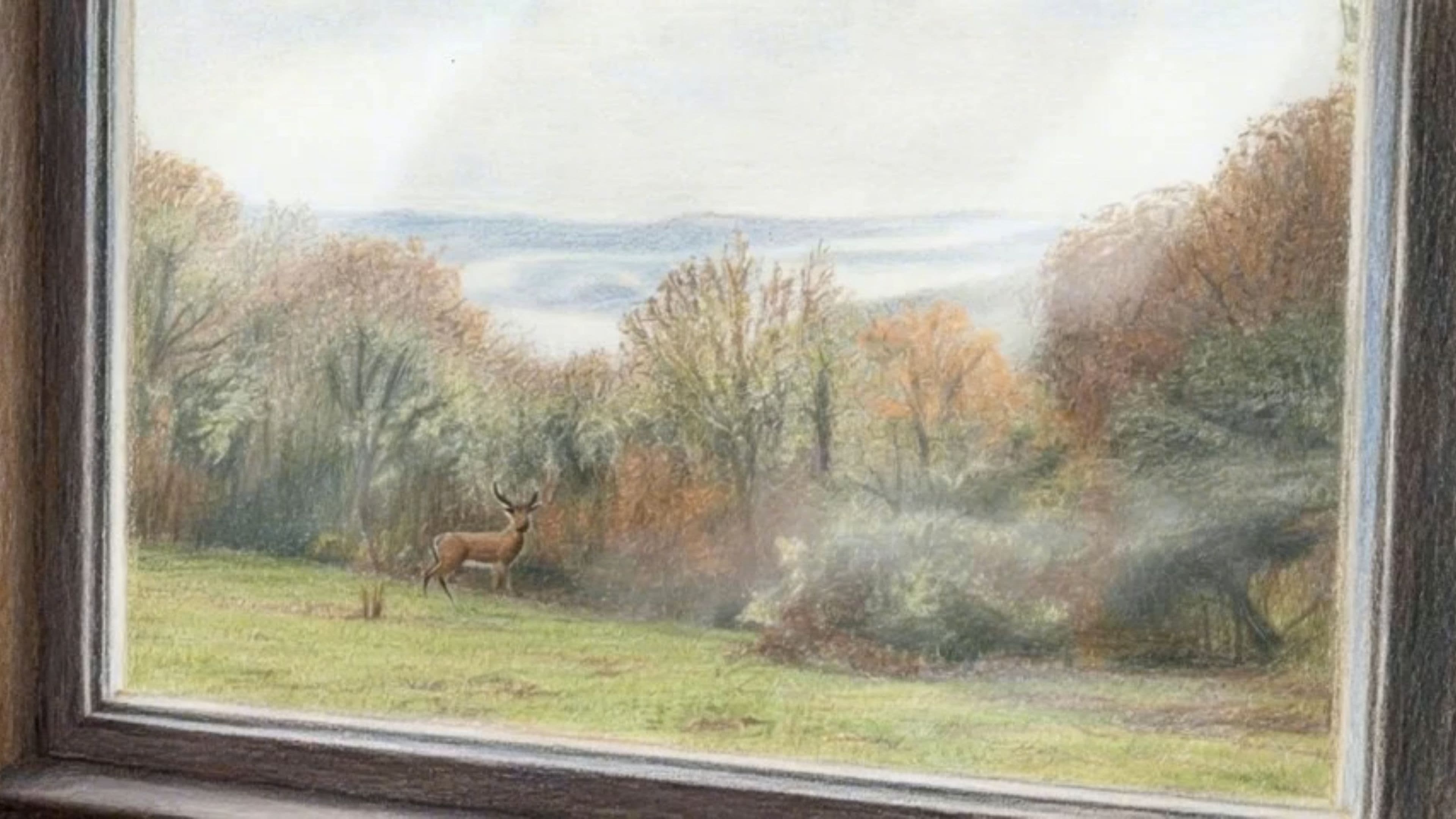 Image transform video