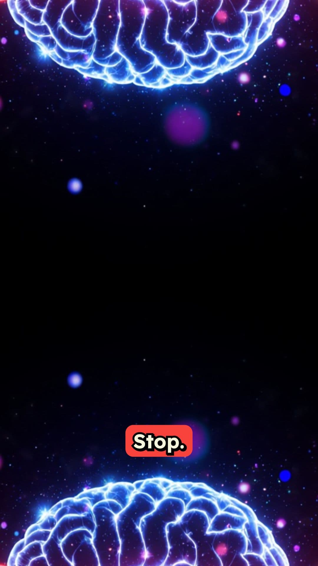 Brain Quiz: Test Your Knowledge