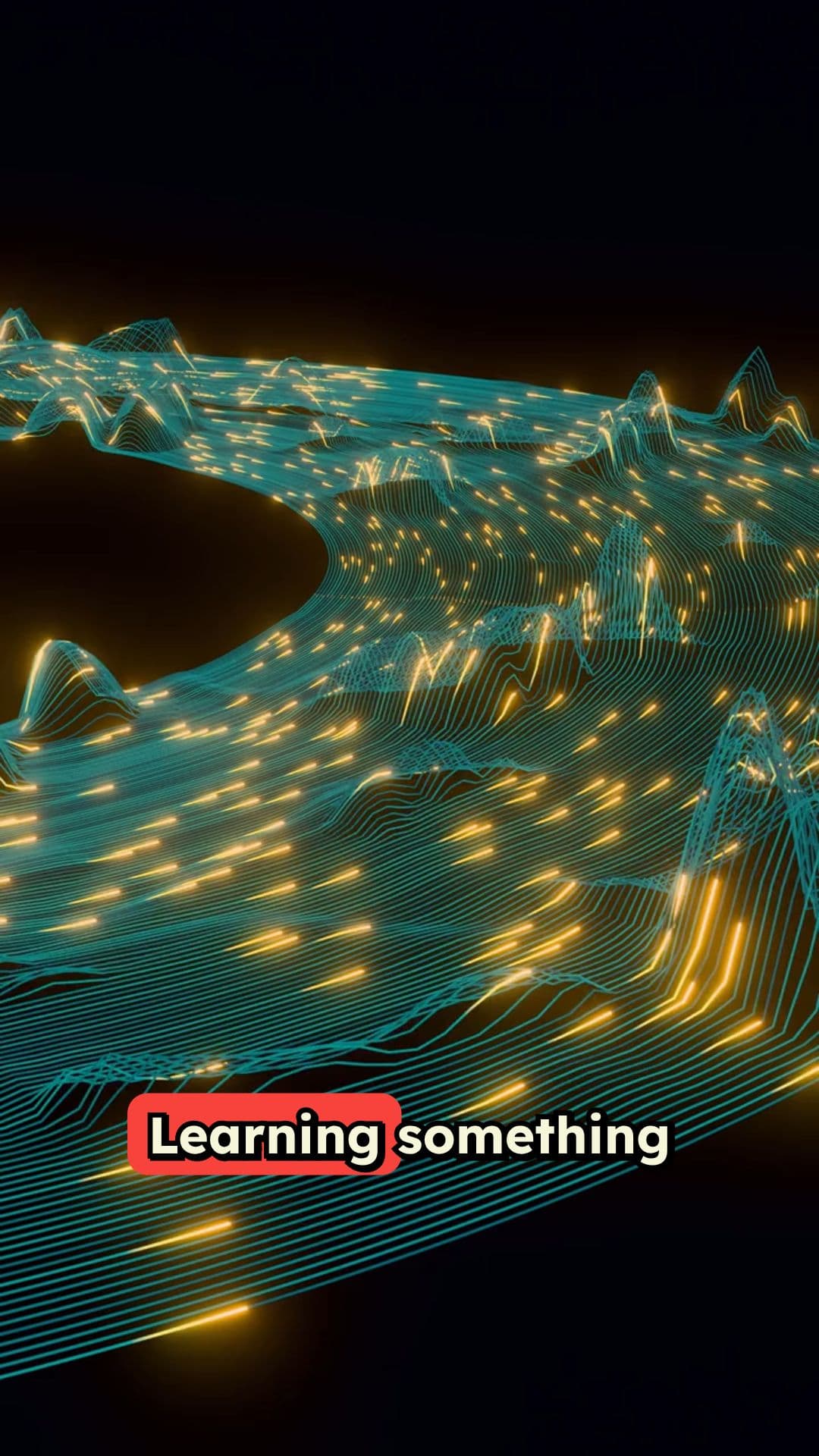 The Brain's Lifelong Adaptability