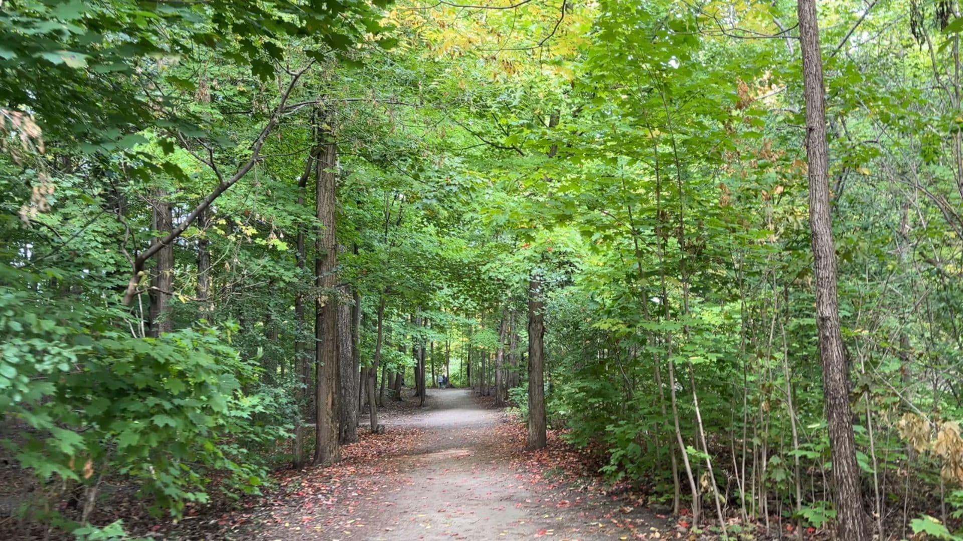 هماهنگی راز موفقیت واقعی