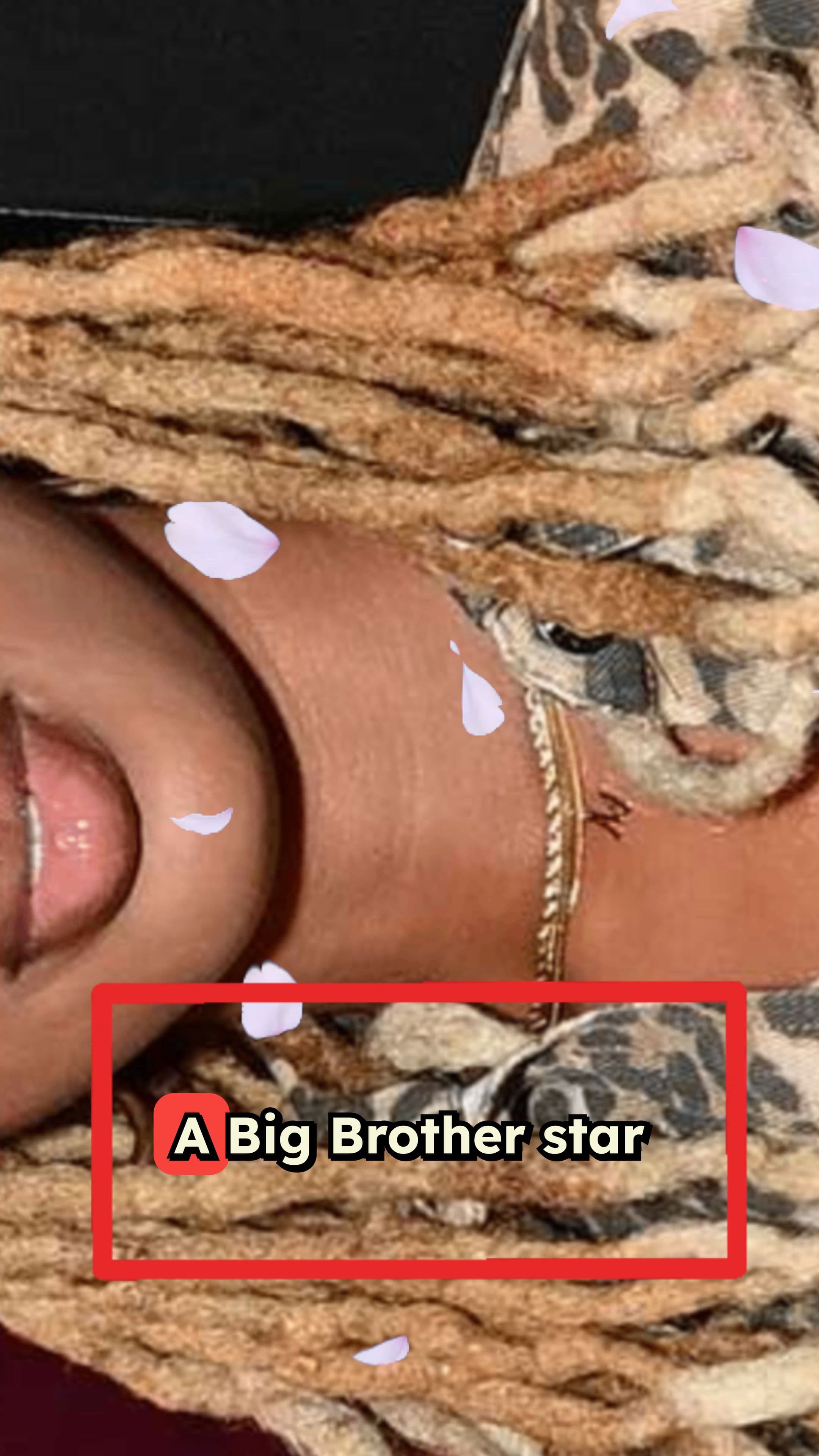 Big Brother Alum Mickey Lee in ICU