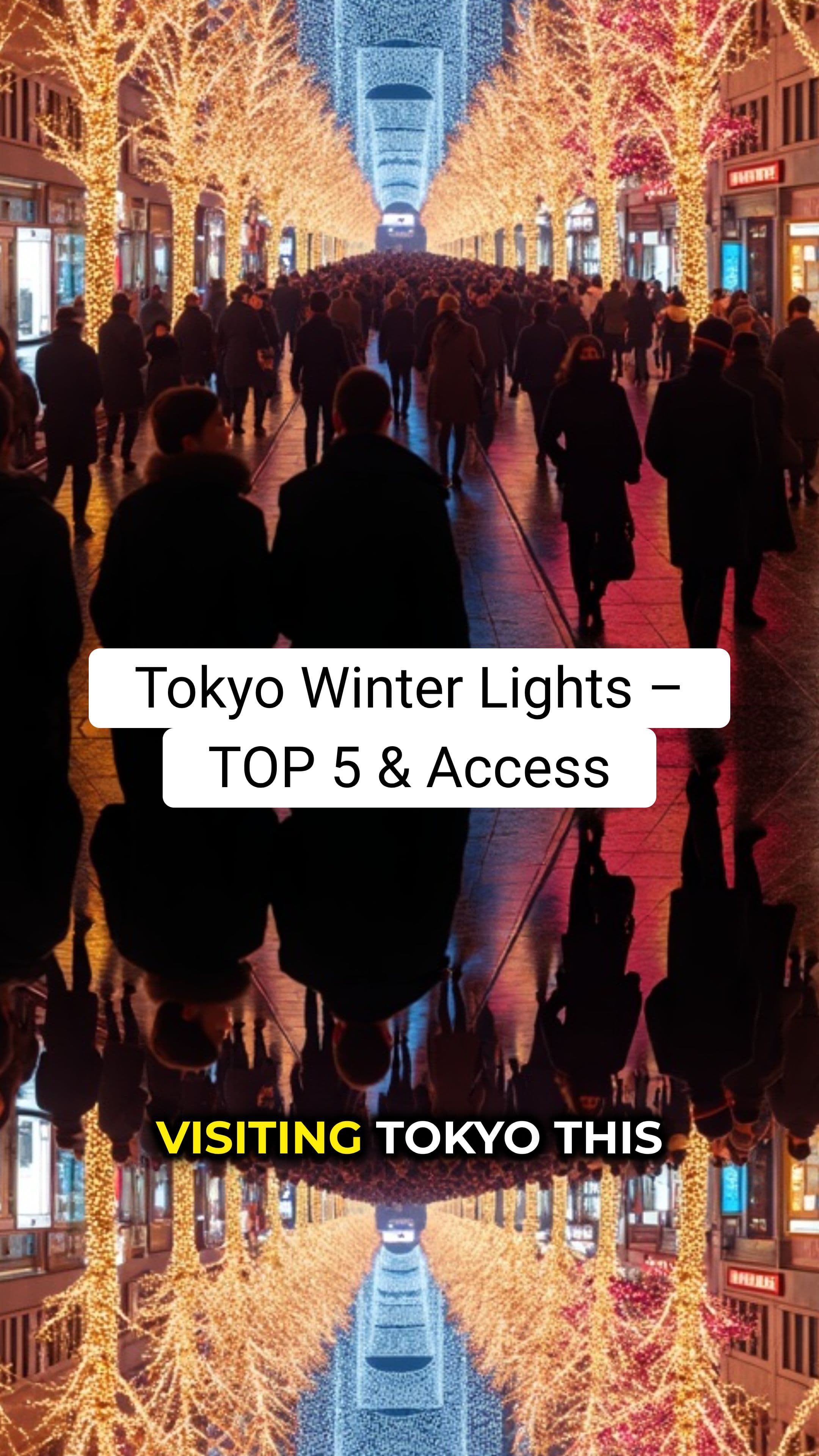 Tokyo Winter Illuminations TOP 5 + How to Get There