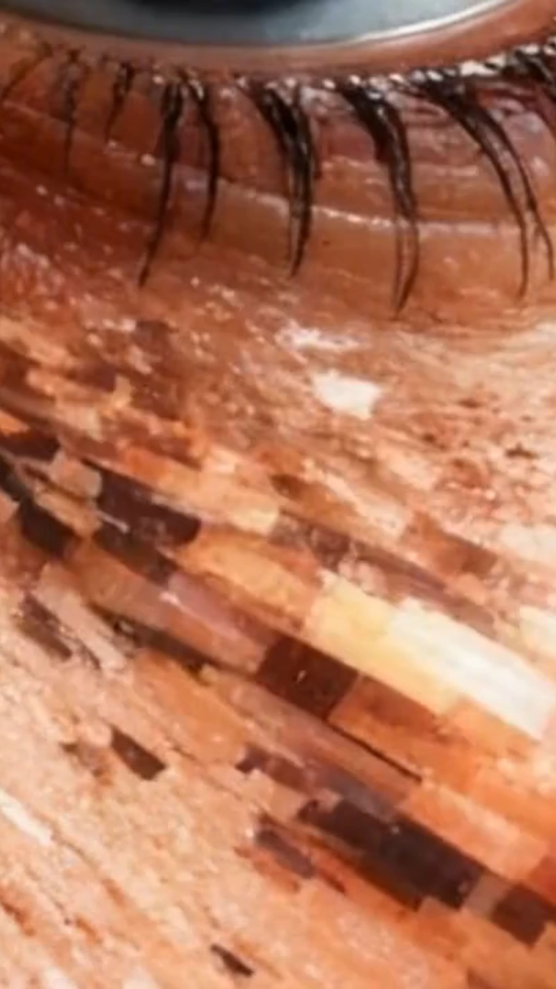 Image transform video