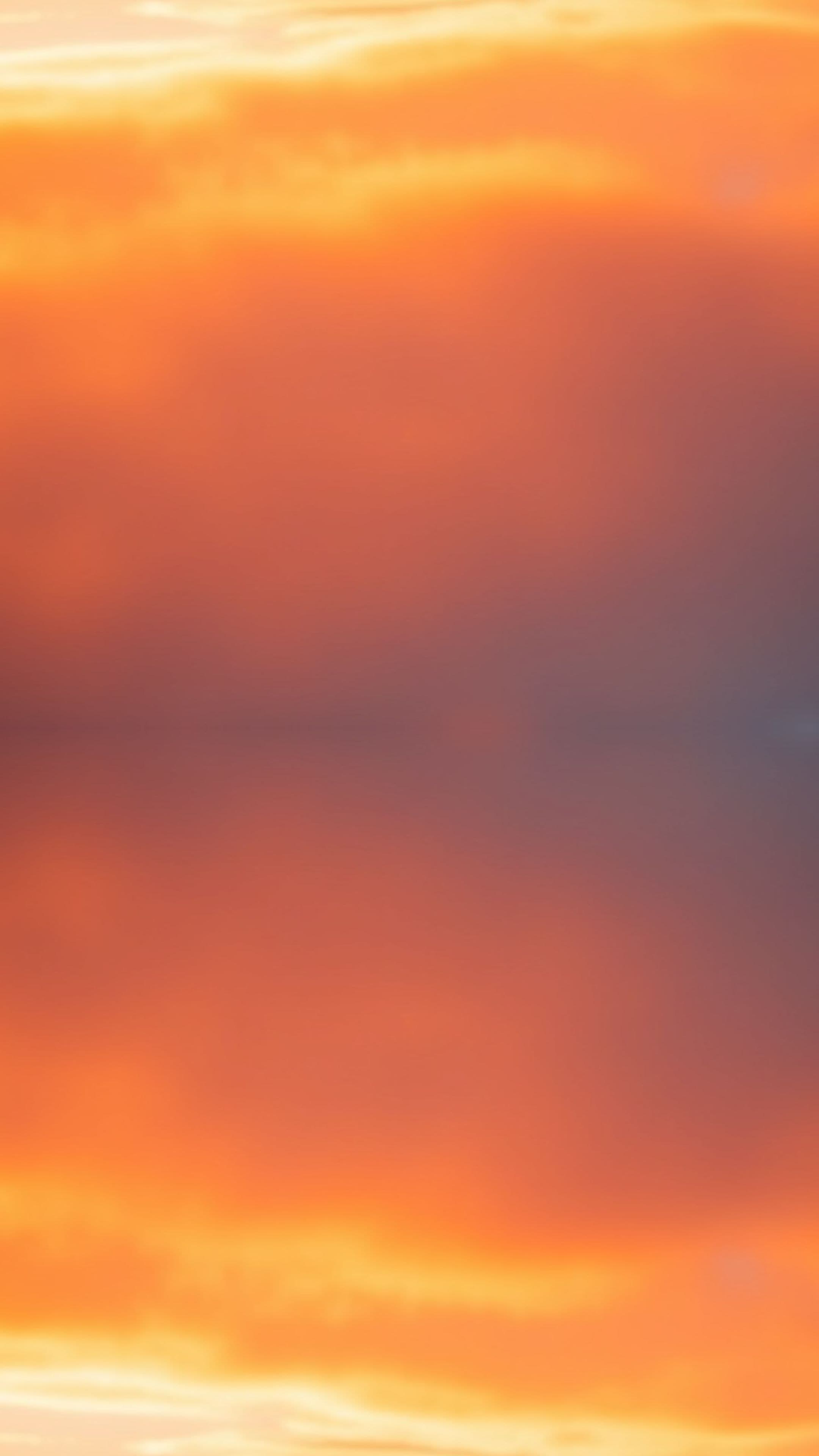 Mustang: A Legend on the Road