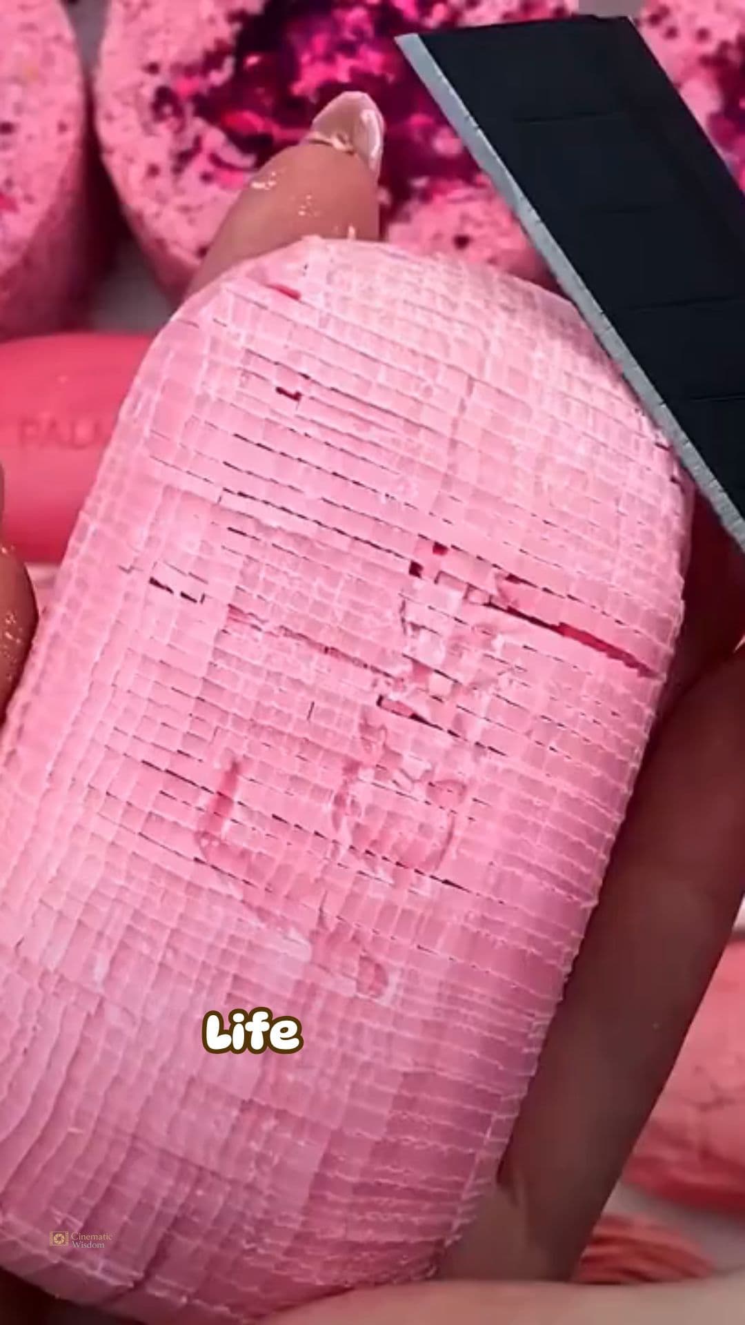 Don’t Miss Your Life