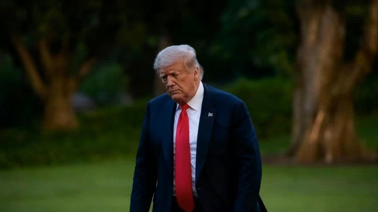 Image transform video