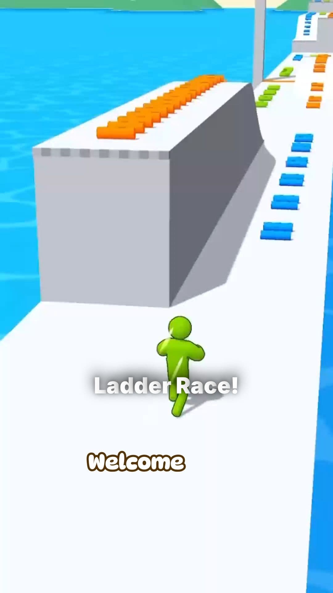 Craziest Obstacle Course Ladder Race