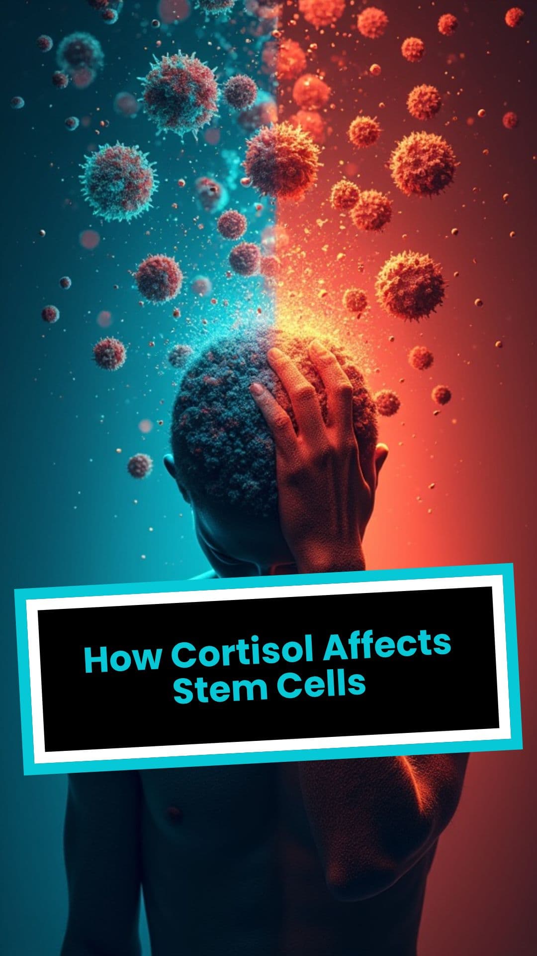 Stress and Its Impact on Stem Cells