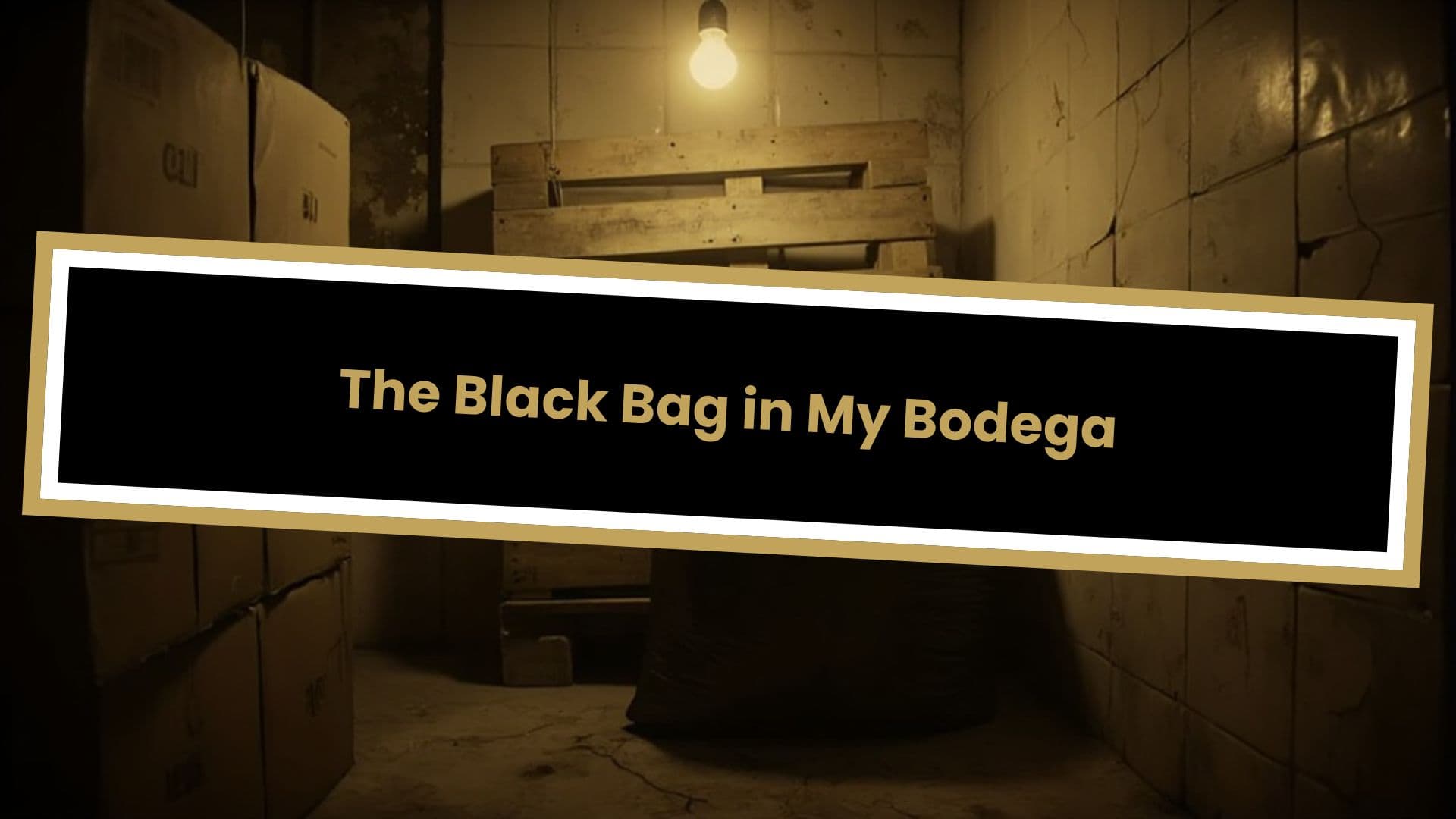 The Black Bag in My Bodega