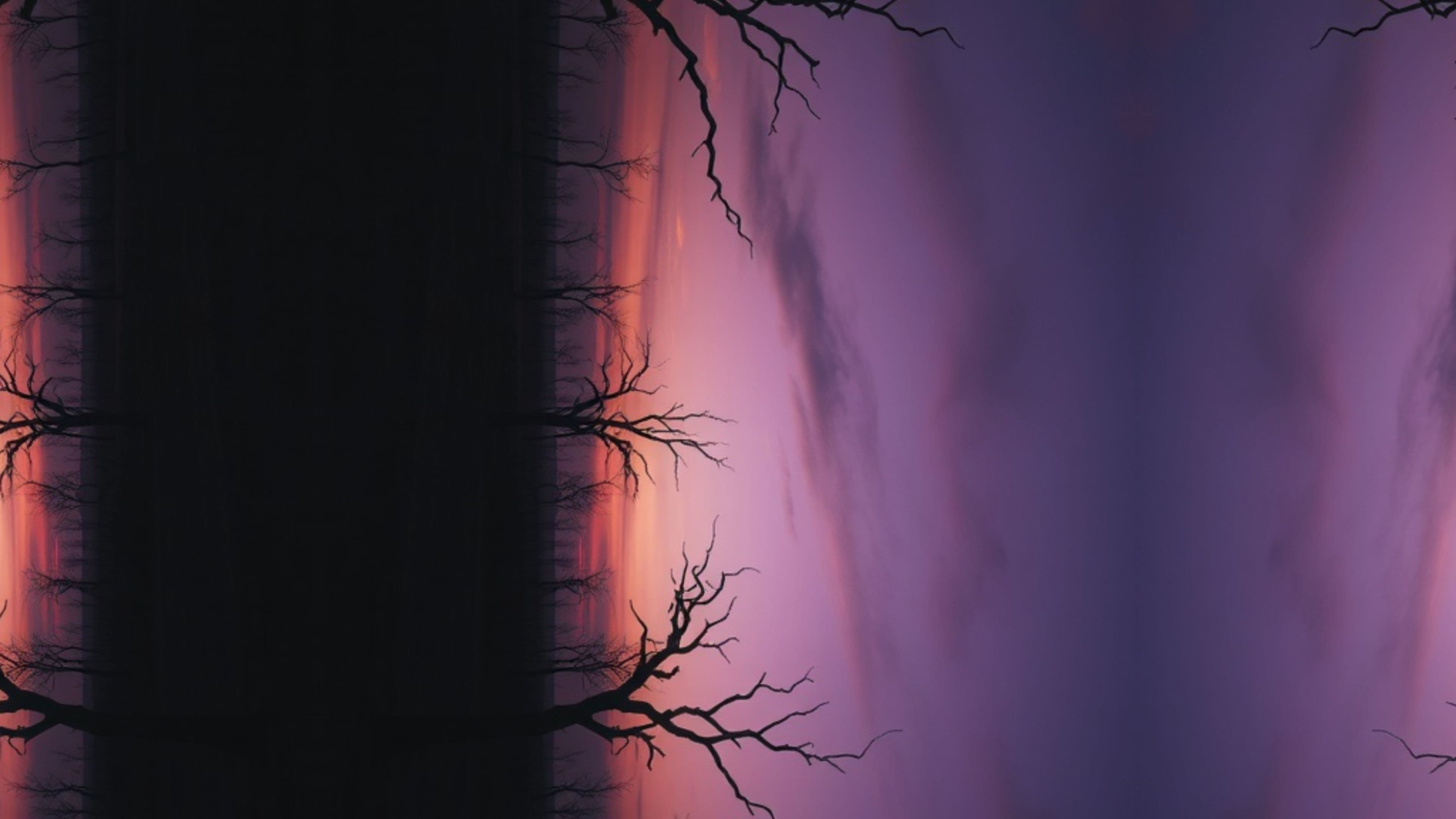 Guiding Light Through Shadows