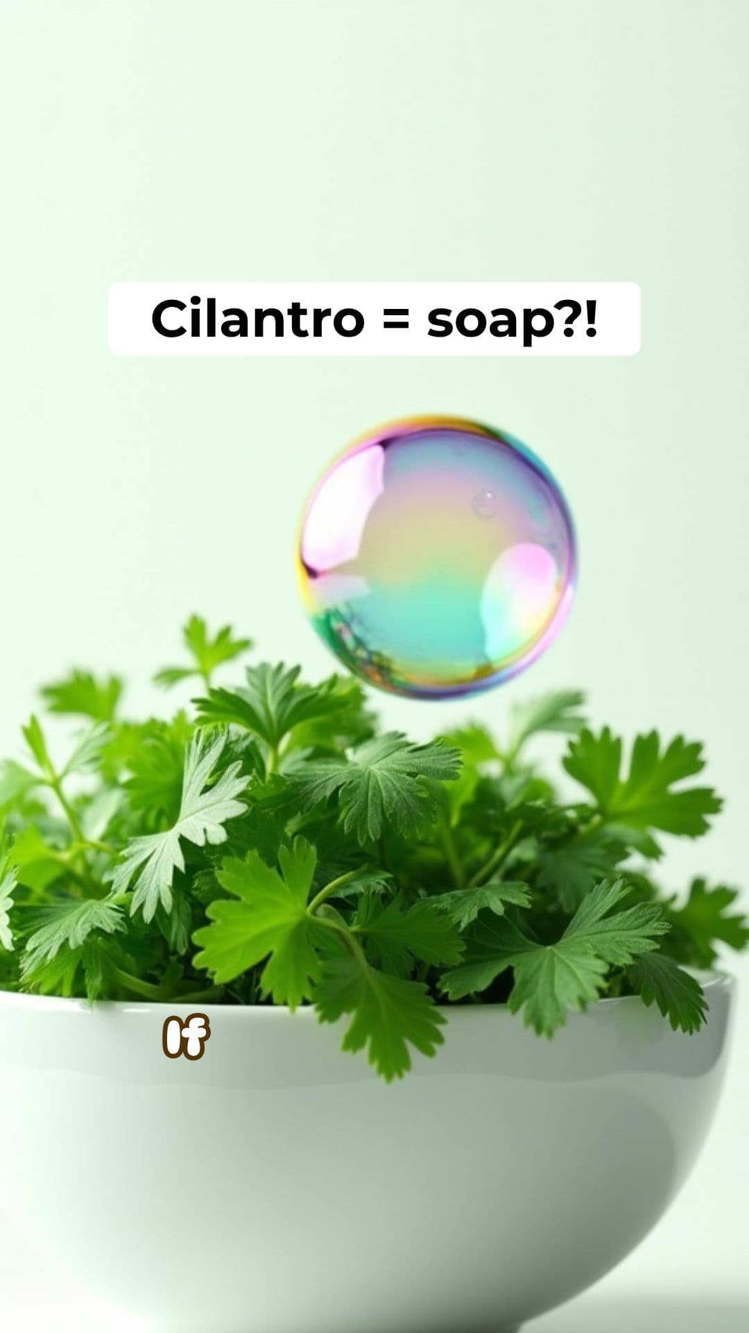 The Cilantro Mystery: Fresh or Soap?