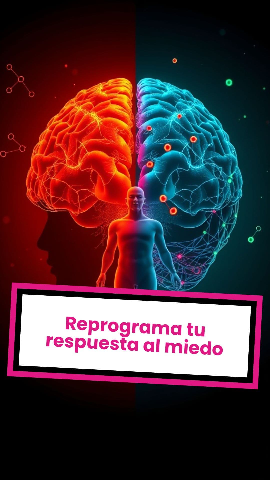 Reprograma tu respuesta al miedo