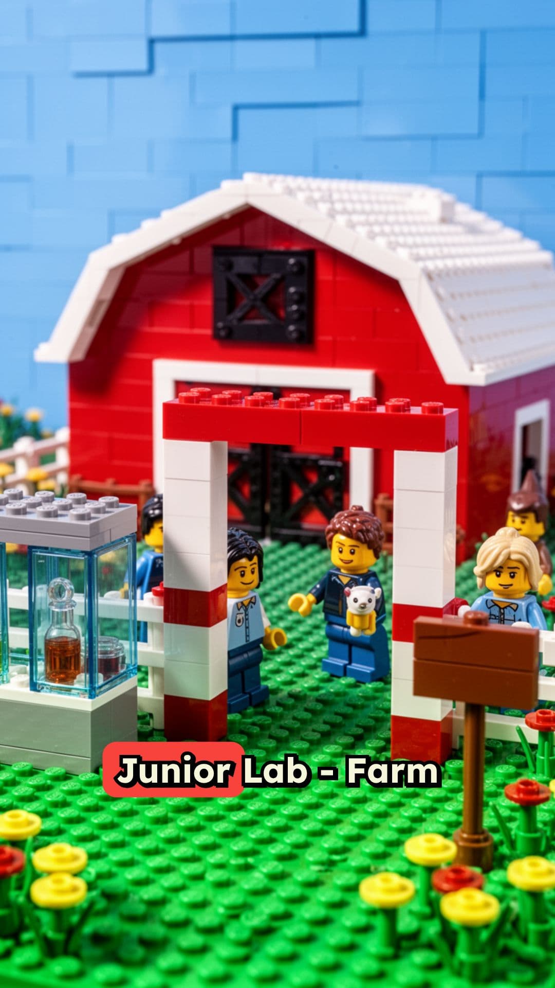 Farm Animals on the Farm