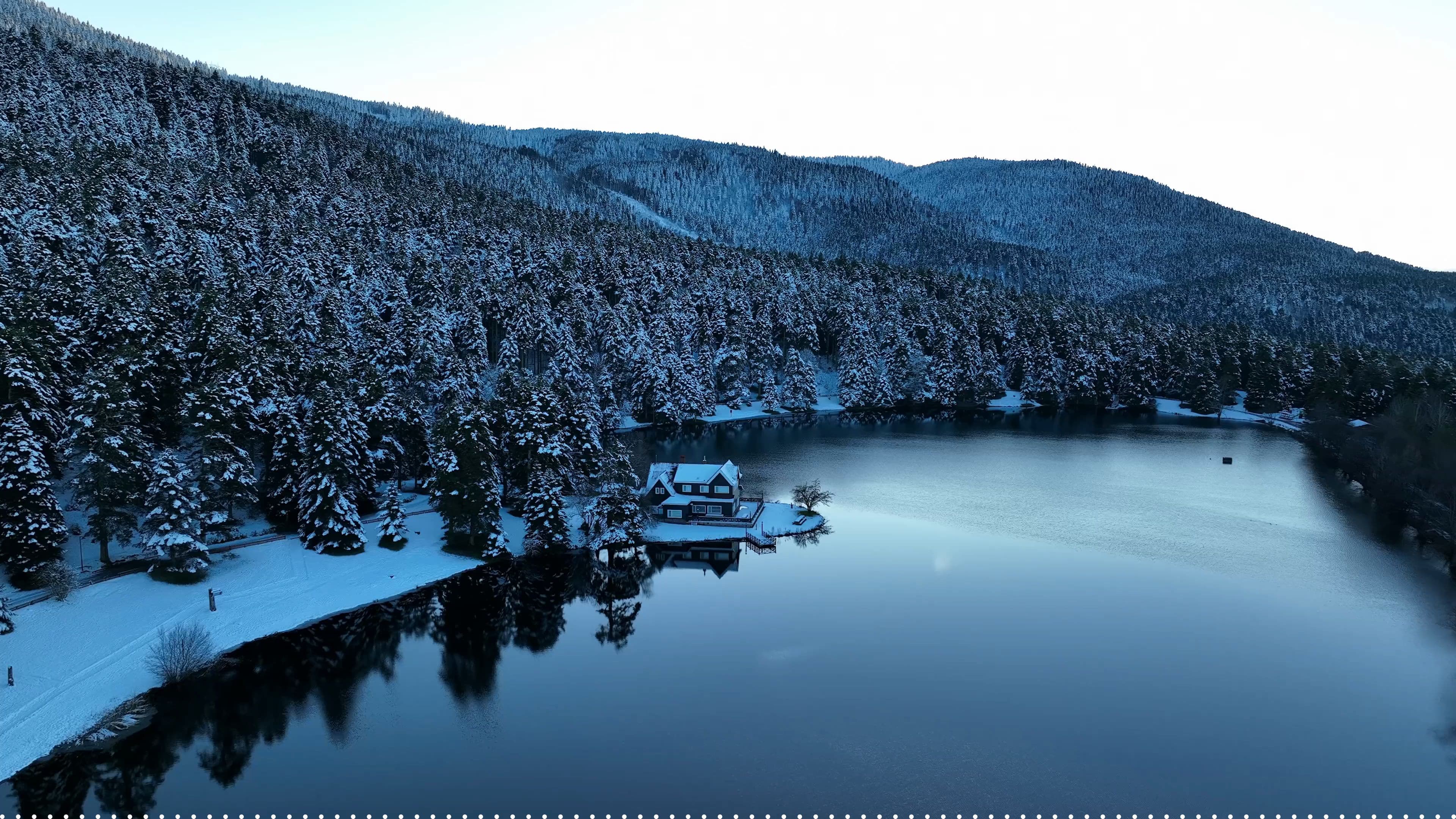 Whispers of the Gallery