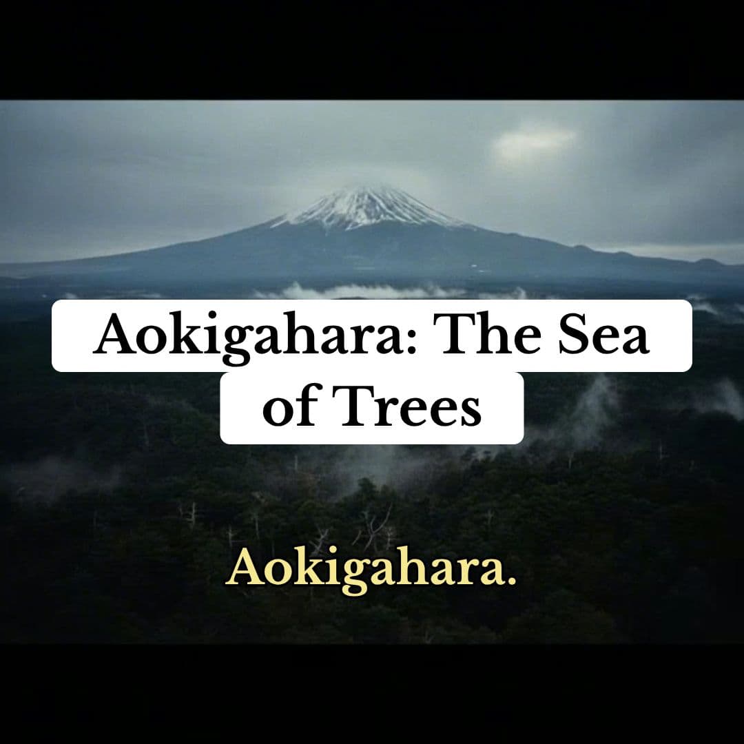 Aokigahara: The Forest of Shadows