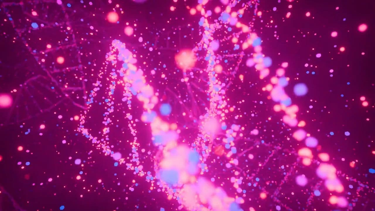 Lesson 01-Understanding Insomnia- Causes and Solutions