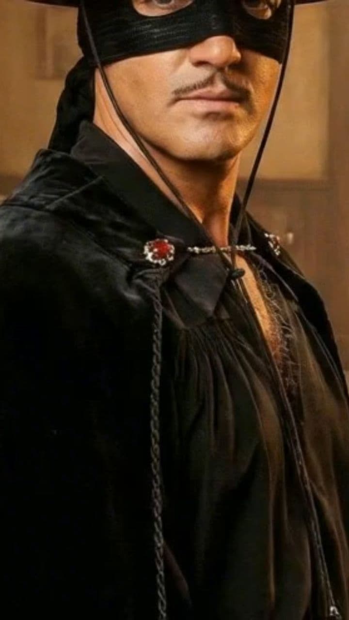 Zorro's Birthday Greeting for Lily