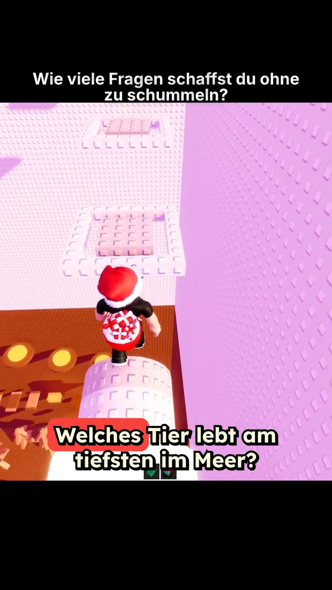 Wie viele Fragen schaffst du ohne zu schummeln?