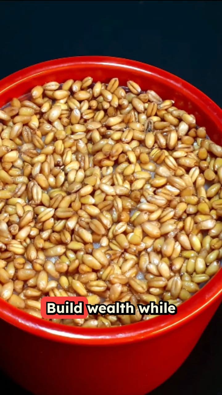 3 Passive Income Ideas for 2026