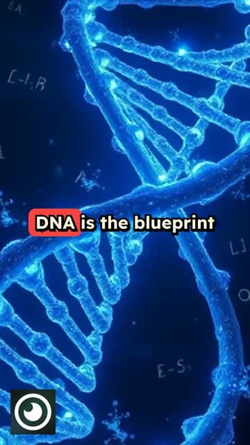 Convertitore PDF in Video per l'Istruzione