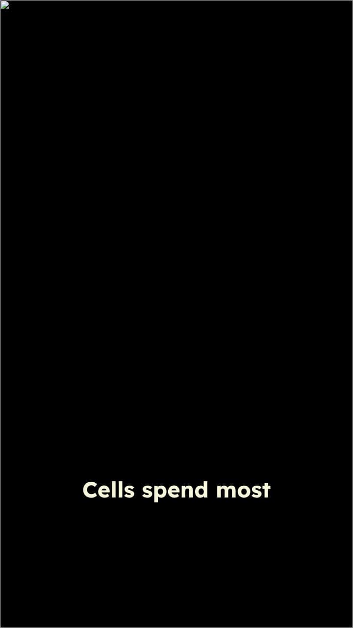 Cell Cycle, Mitosis, and Meiosis Overview