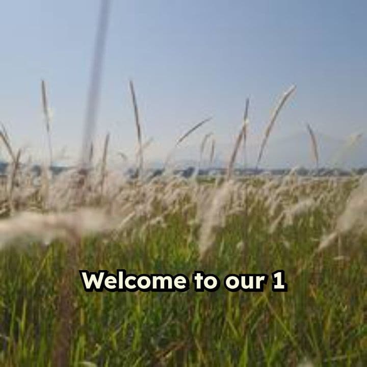 Resting in God's Safety