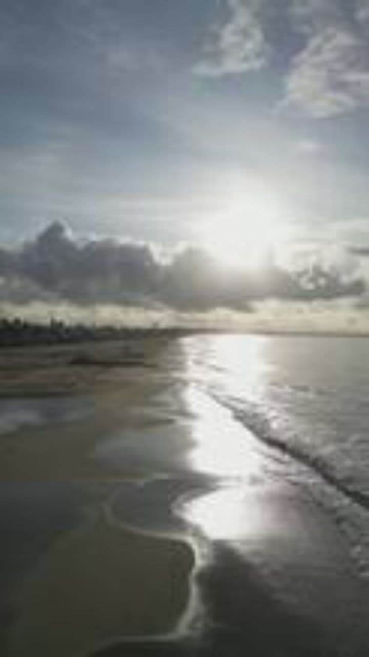 오늘의 인과, 내일의 행복