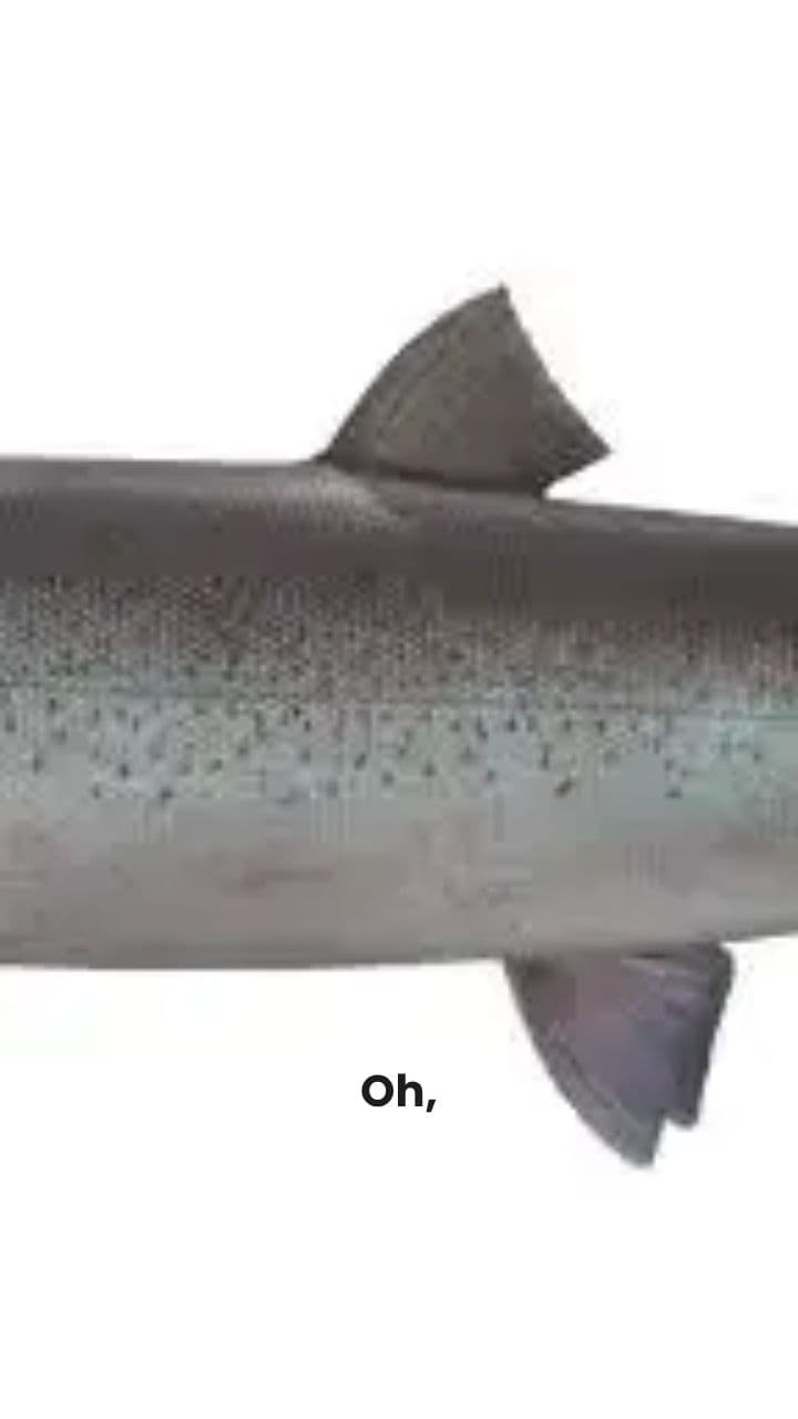 La Crisi del Pesce-Peperone