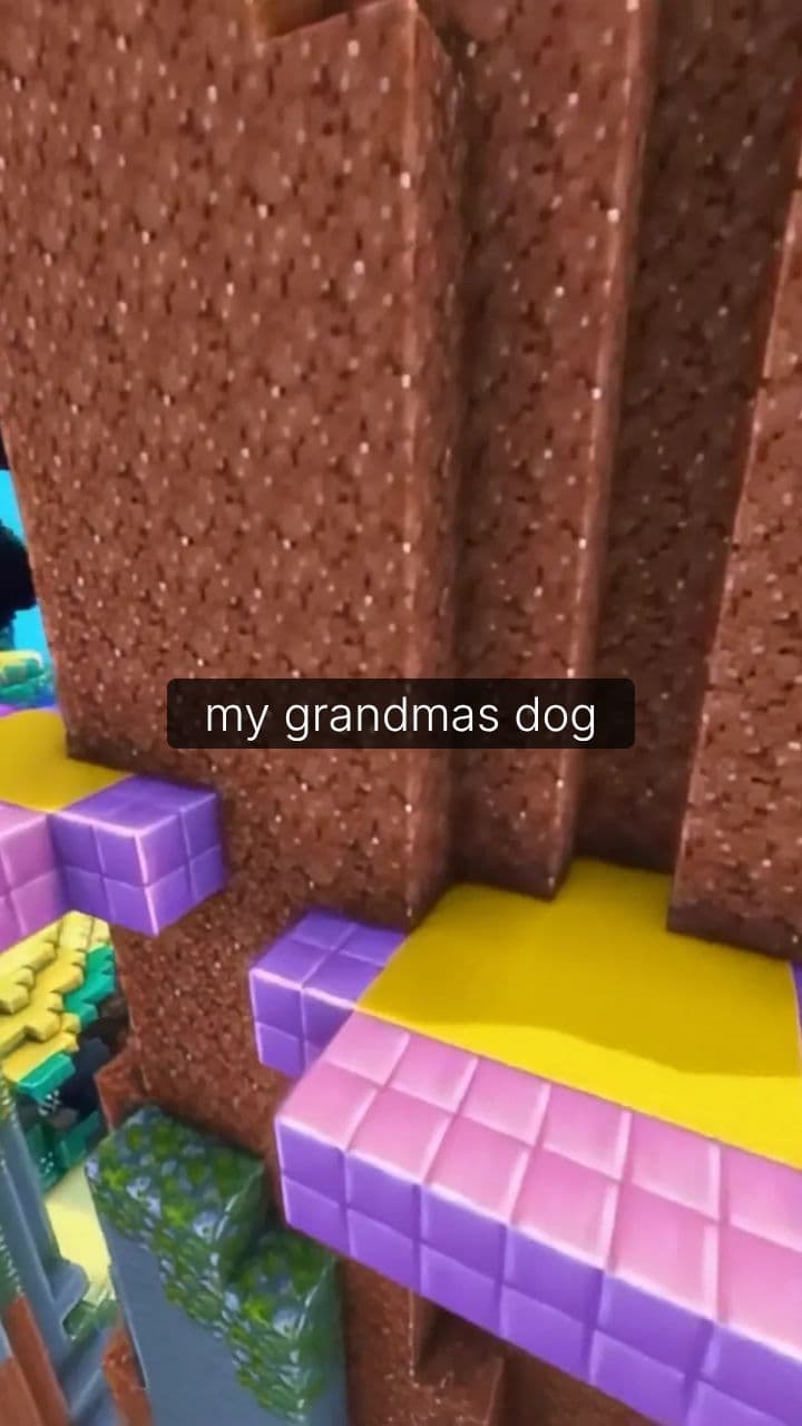 Grandma’s Dog Bit My Sister’s Face