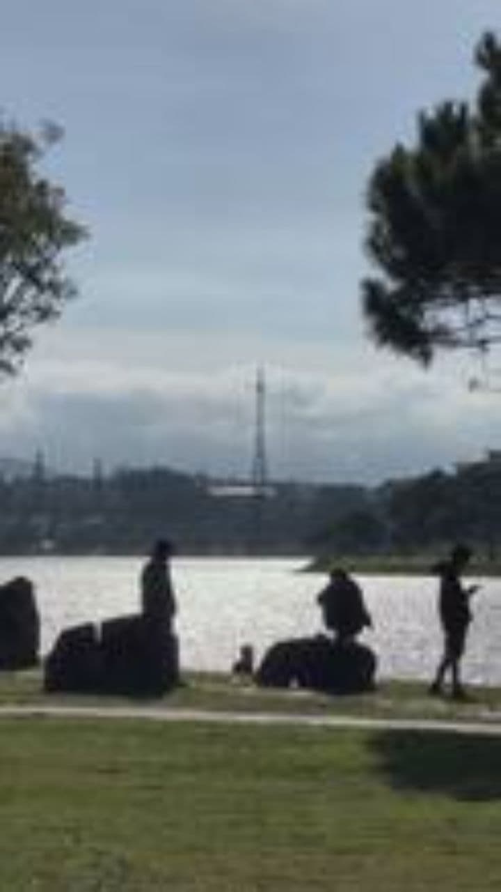 Капибара: дружелюбный герой природы