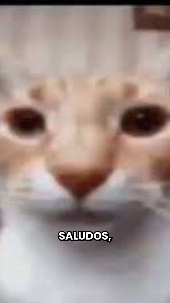 Julitomaznah's Offbeat Birthday Bash