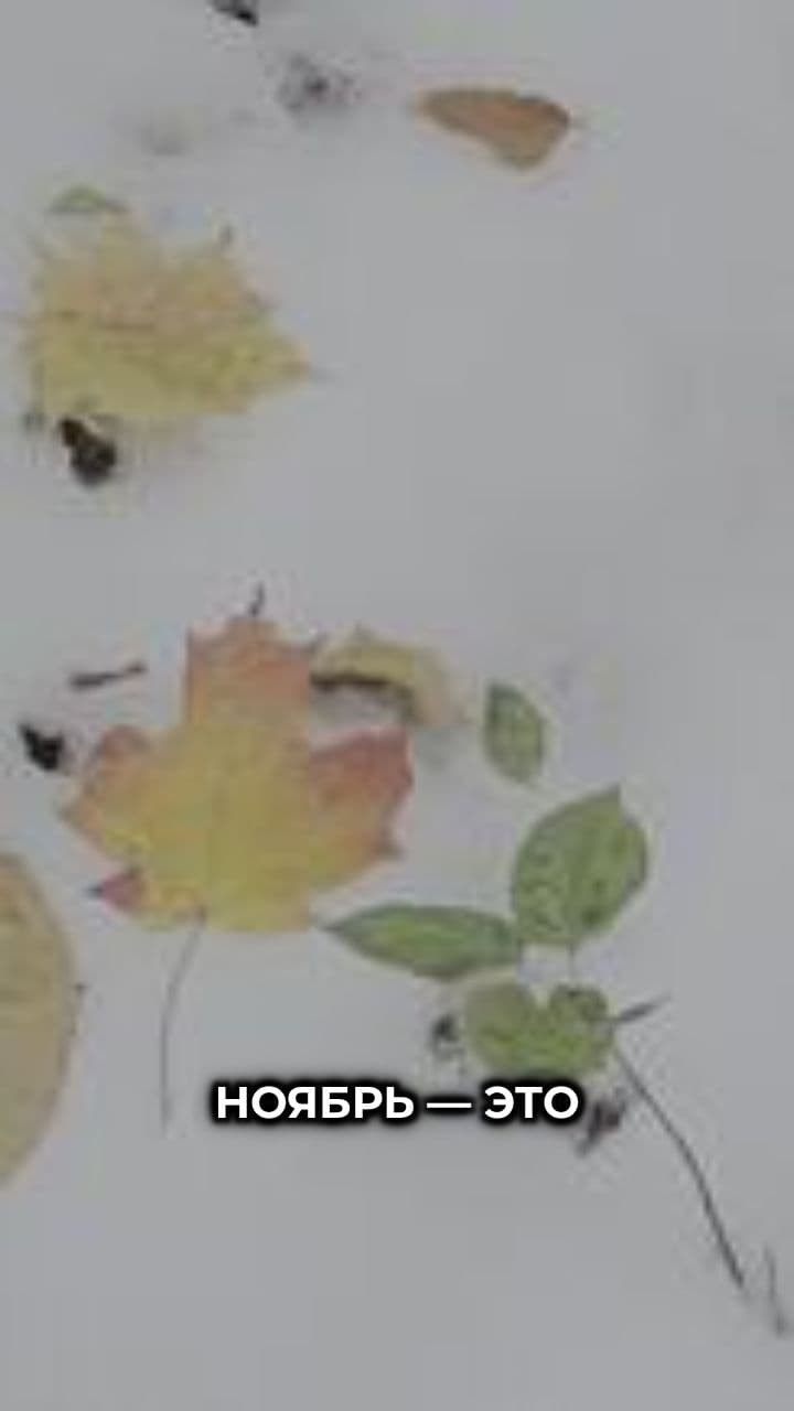 Ноябрь: время перемен и саморефлексии