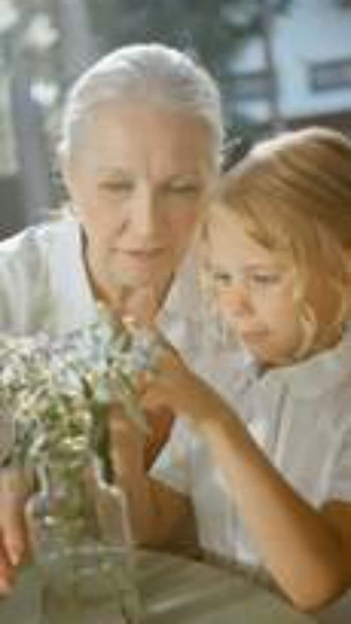 Encouragement and Comfort