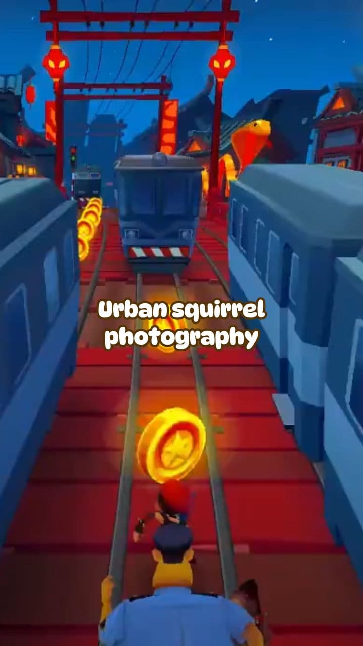 Squirrel Photography: A Date to Remember