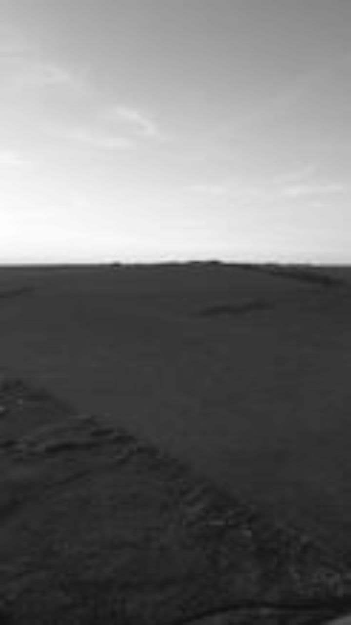 مليت من الانتظار والخيبة