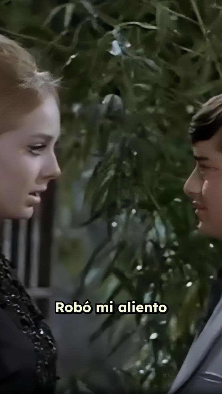 Un sí en el jardín iluminado