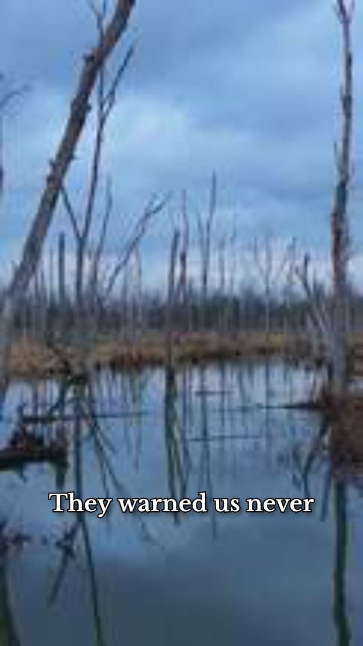 Marsh of the Lost Souls