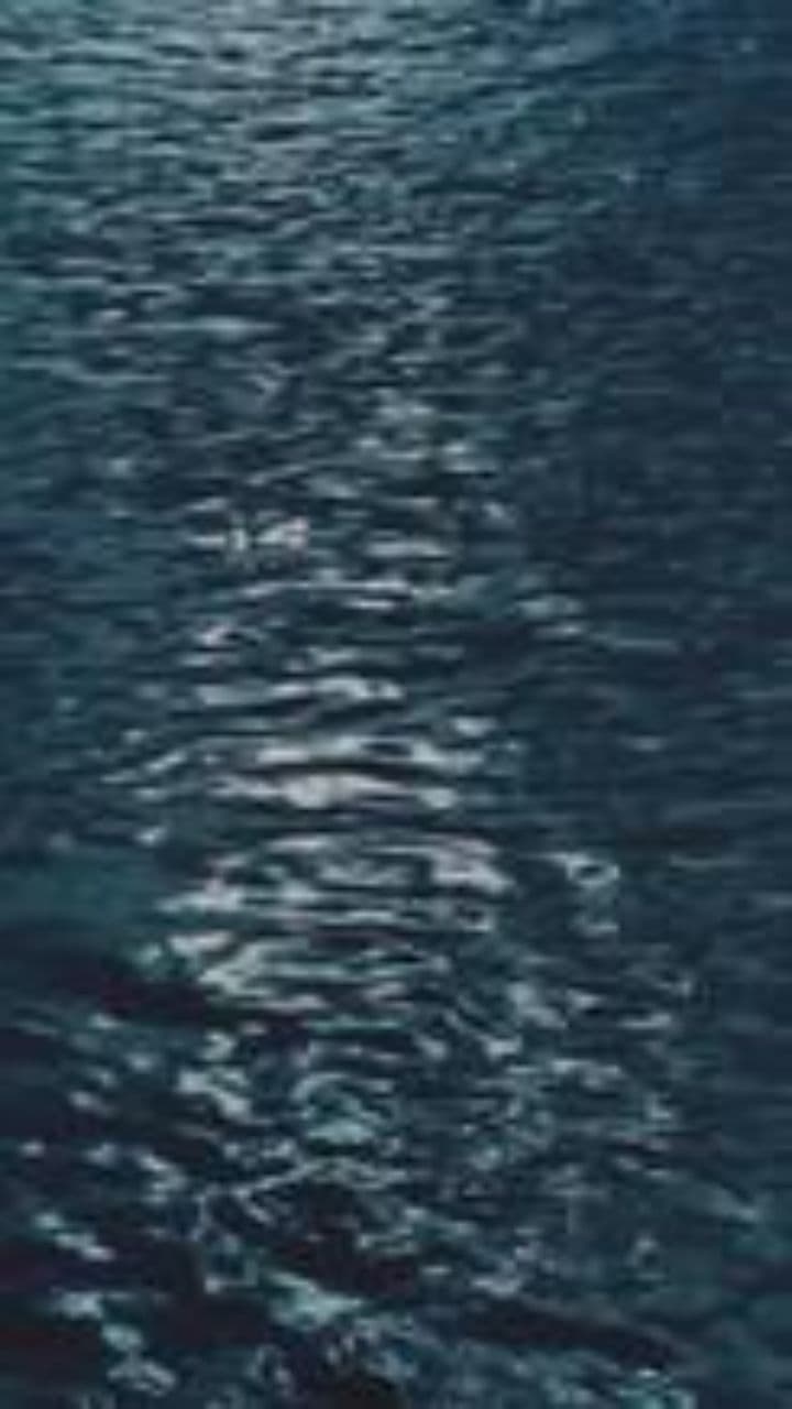 Whispers of Apple Snails