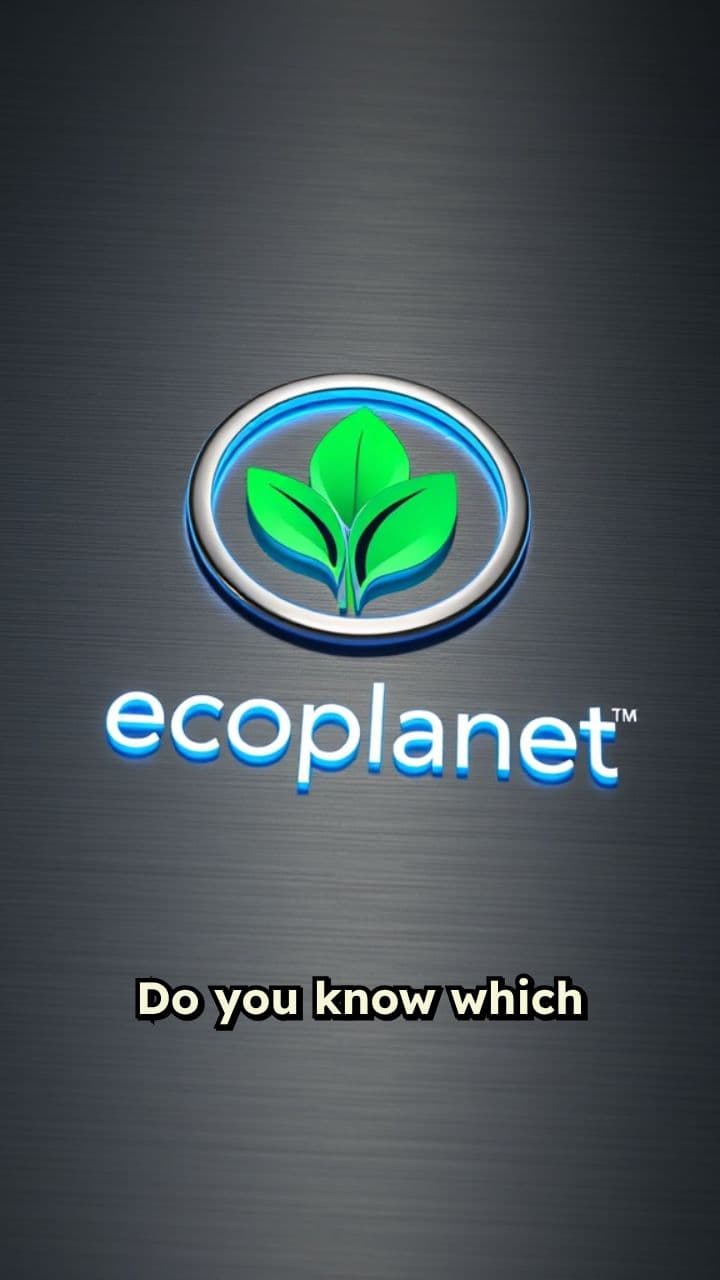 Ecoplanet Elevators: Safety and Innovation