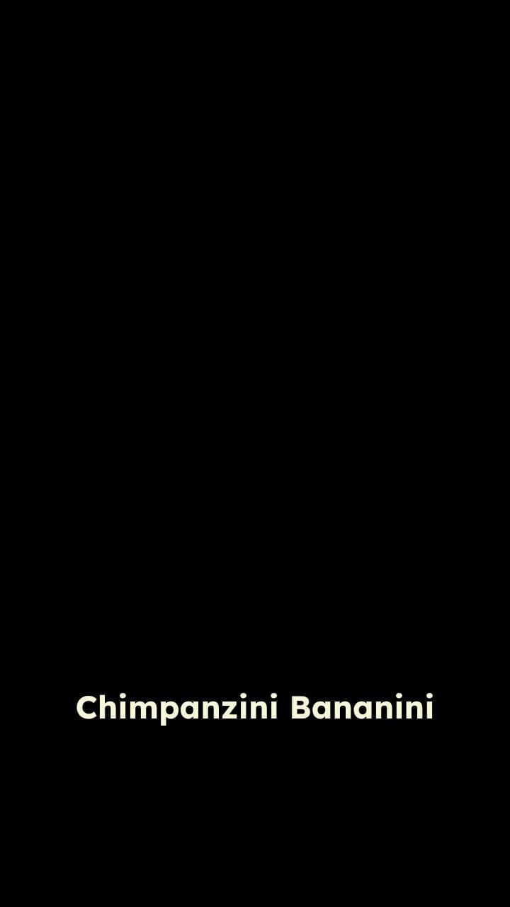 Chimpanzini Bananini