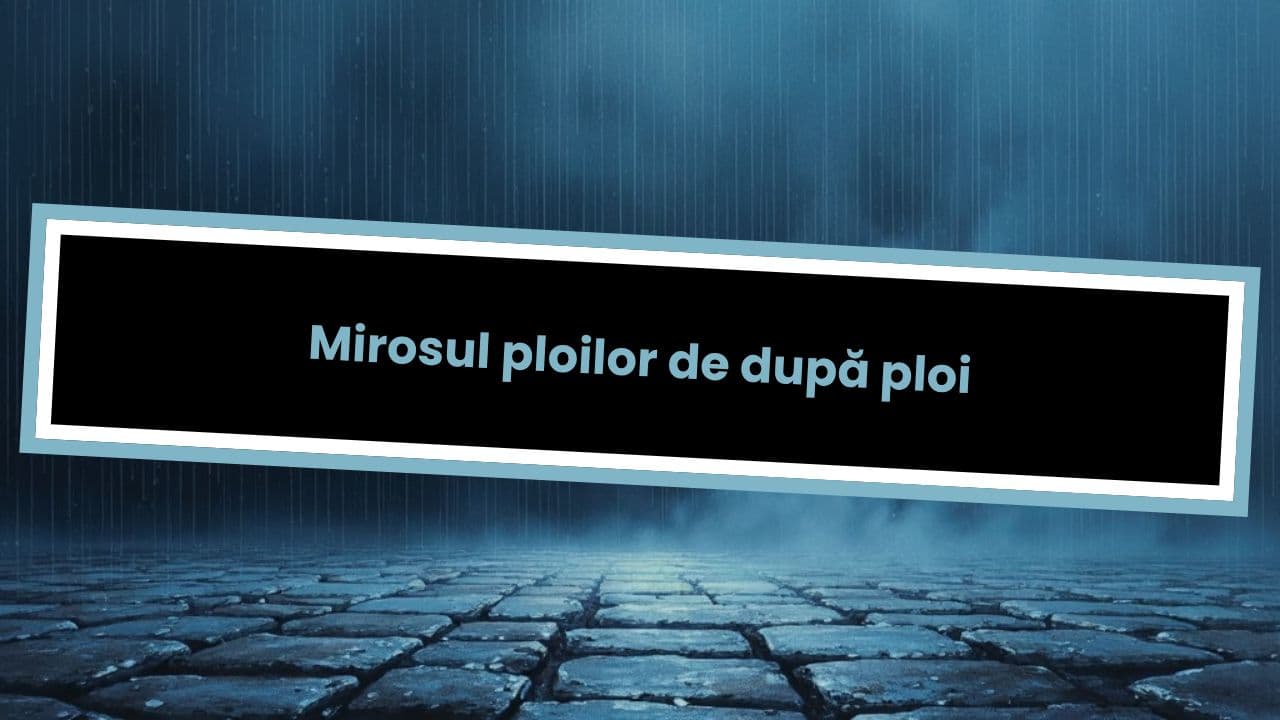 Mirosul ploilor de după ploi