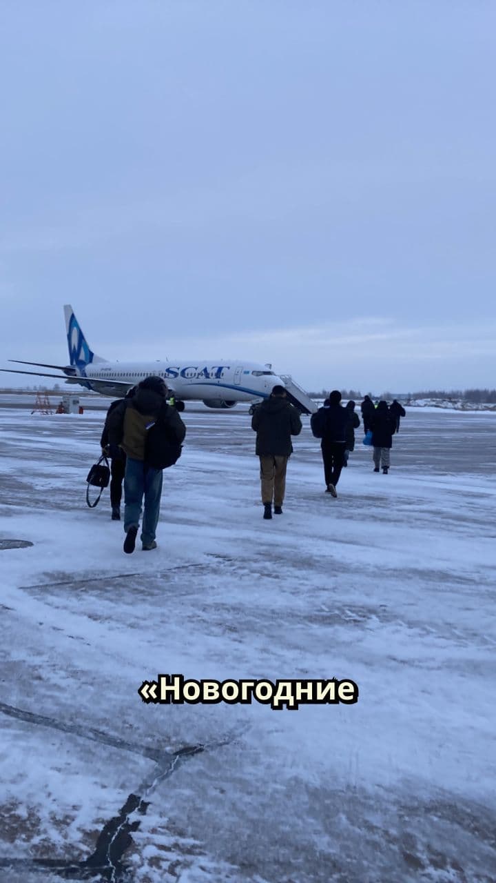 Лучшие новогодние каникулы: ел и спал