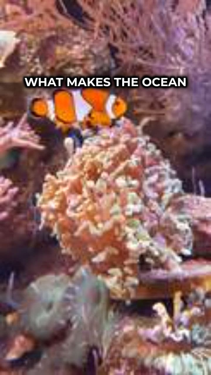 The Source of Ocean Salinity