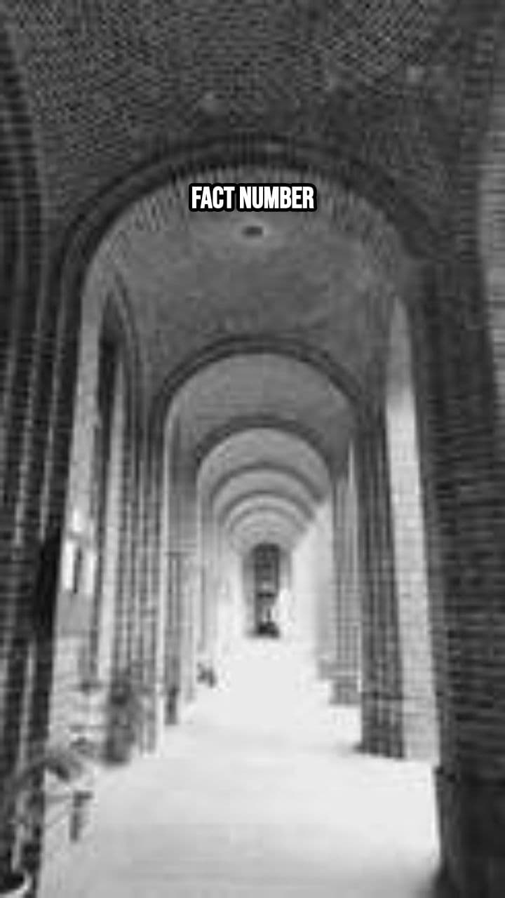 Zindagi Ke 10 Dilchasp Facts