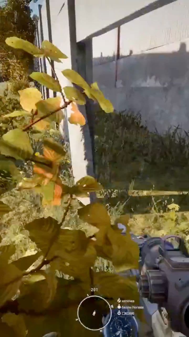 Неожиданная ситуация в лесу