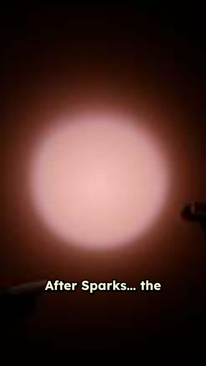 The Quiet Power of Frank DeCicco